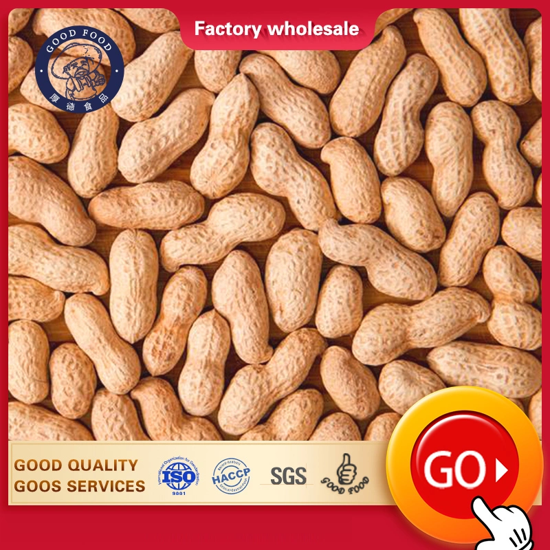 Customized Roasted Peanut in Shell for Exporting From China