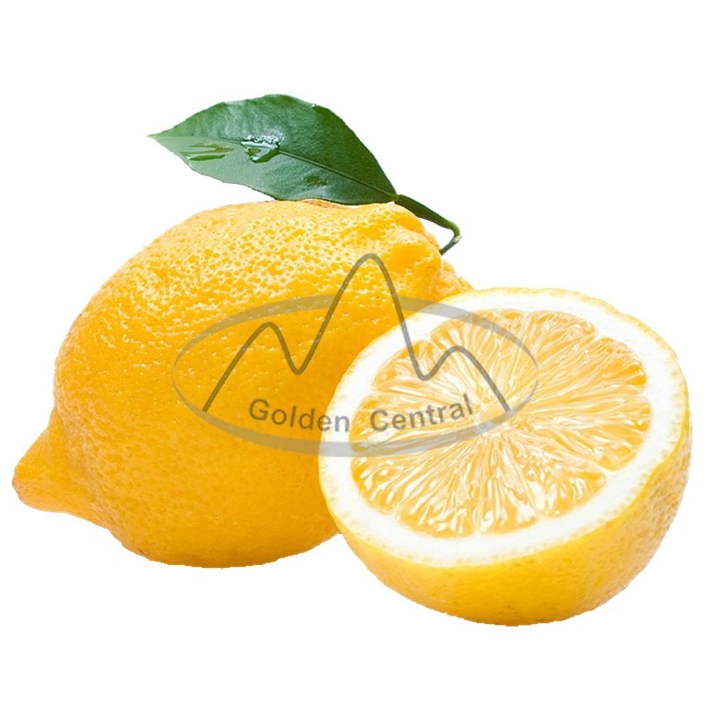 Natural Hot Selling Delicious Fresh Lemons in Bulk with Low Wholesale/Supplier Price Fruits in Bulk Fresh Lemon