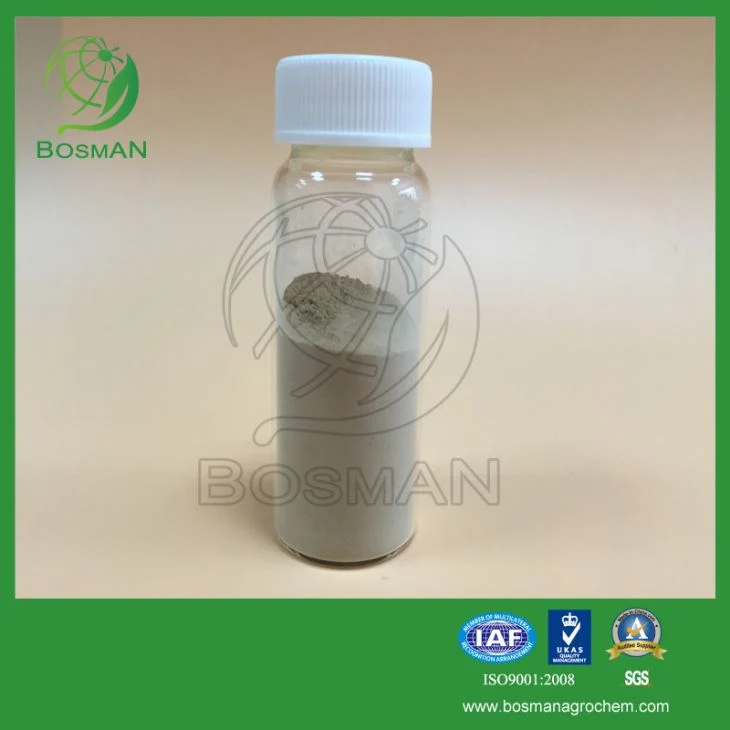 Good quality top sales pesticide Mancozeb 64% + Cymoxanil 8% WP