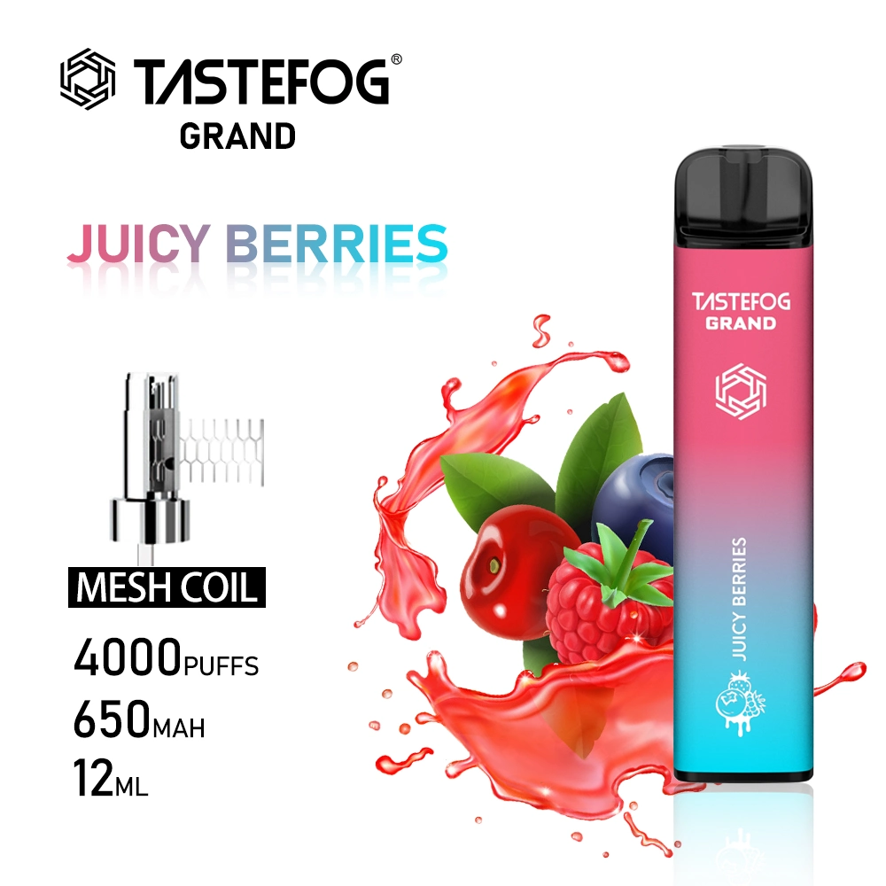 Tastefog Grand Electric 4000 Puffs VAPE Cigarette Shisha Pluma