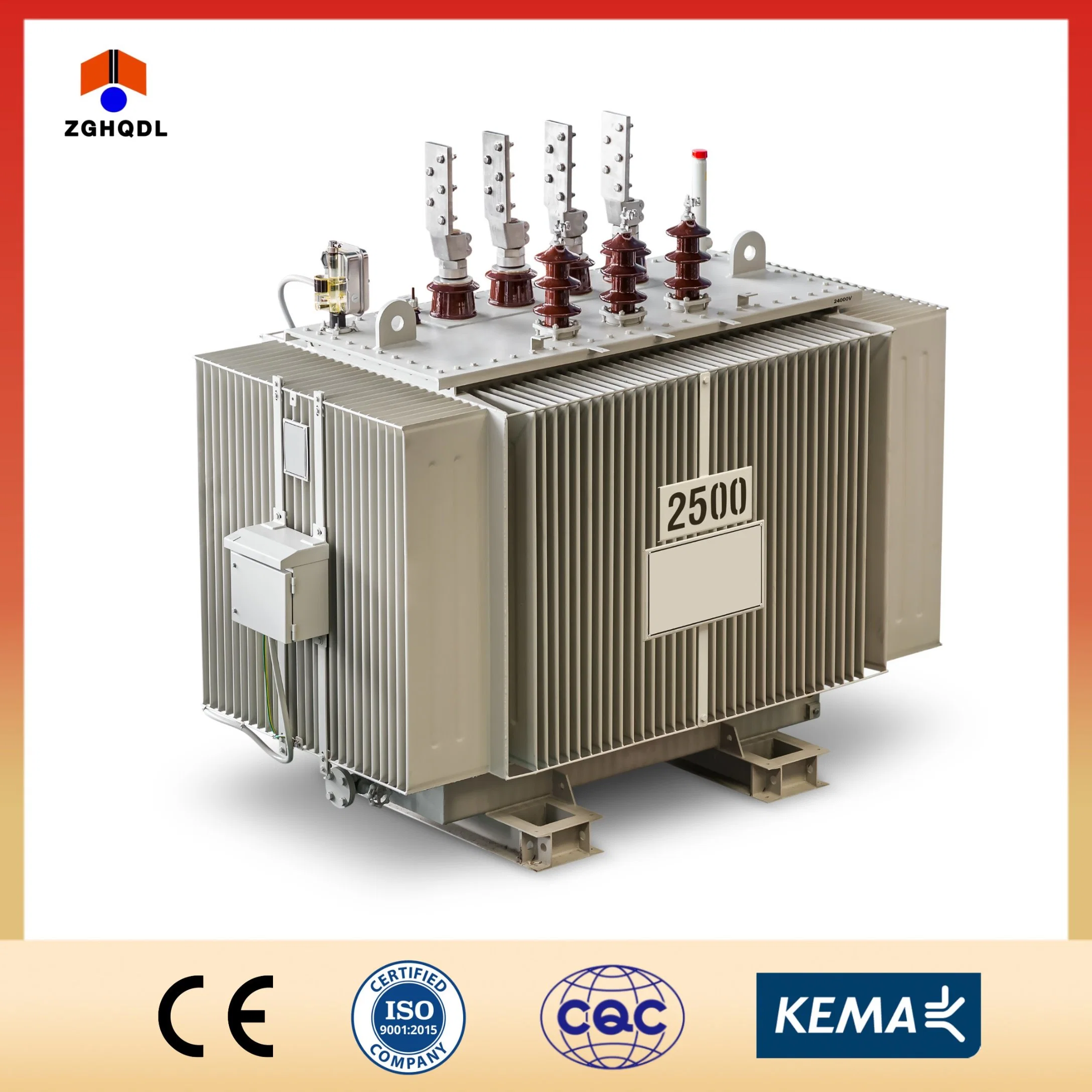 25kV transformador de potencia de distribución sumergida en aceite con servicio personalizado