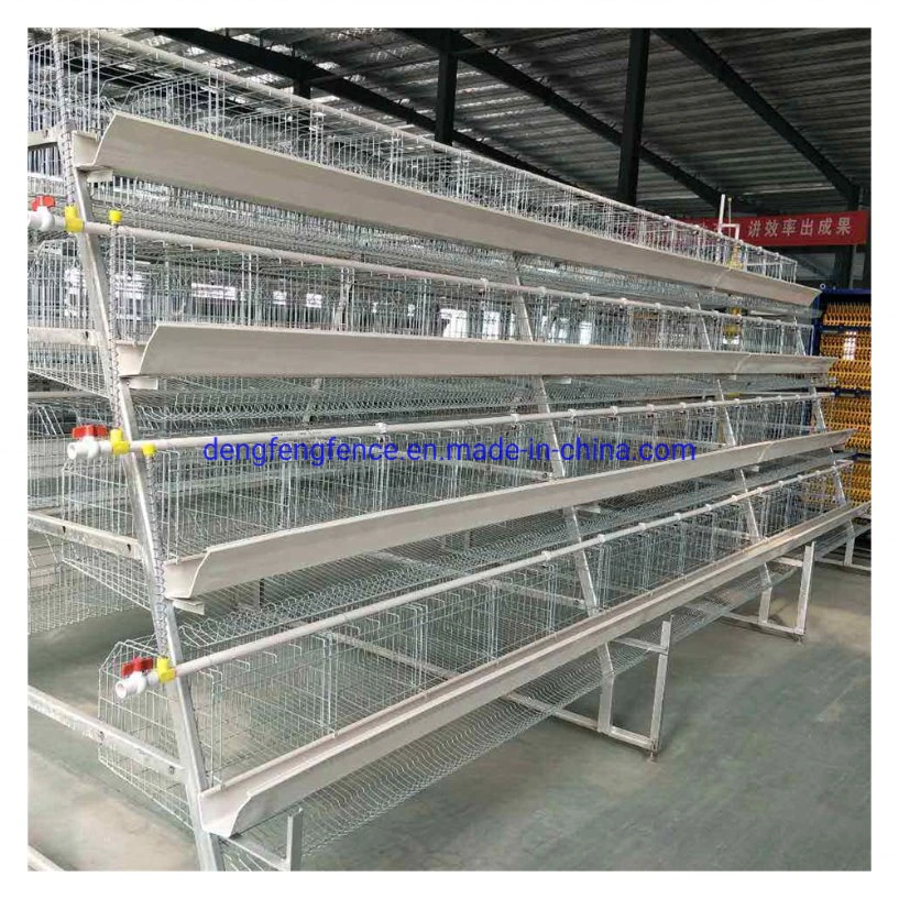 Hot Selling Africa Chicken Cage for Sale Philippines Egg Chicken Cage