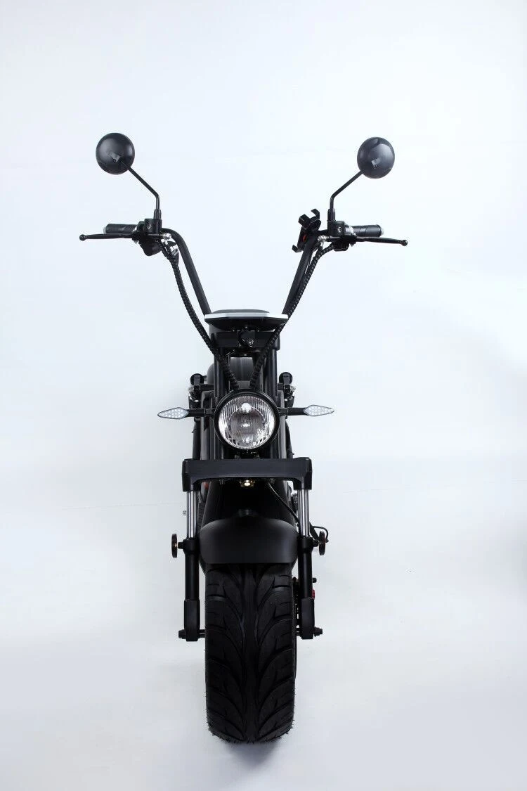 Wholesale/Supplier Online Simple Frame Fat Tire Electric Motorcycle with Single Leather Seat