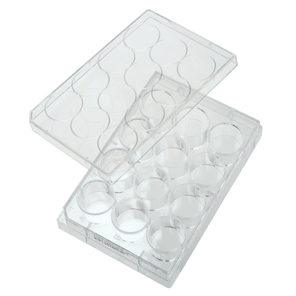 96well PCR Reaction U Bottom Sterile Cell Tissue Culture Plate with Cover