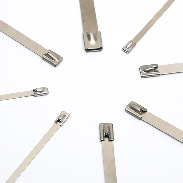 Self-Locking 304 Stainless Steel Straps (Naked)