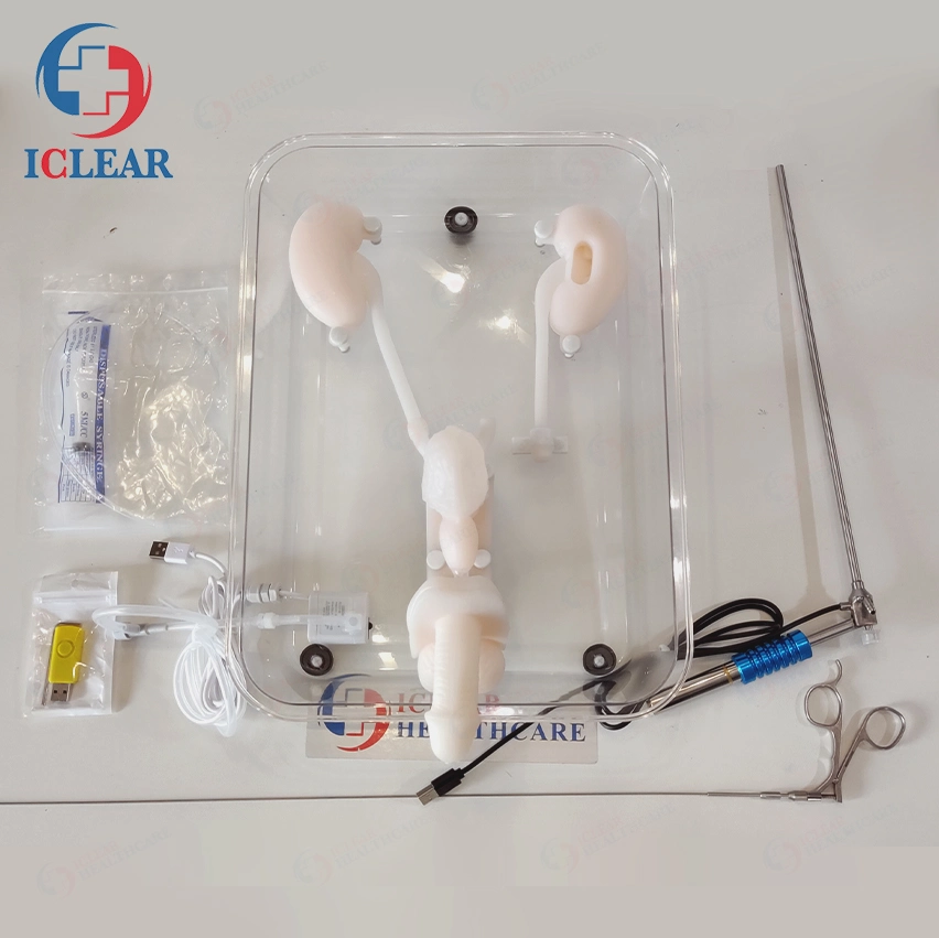 Ureteroscopy Simulation Training Urinary Endoscopy Training Model Hollow Material Is Soft and Tough