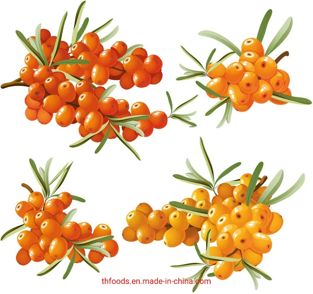 New Crop Frozen Seabuckthorn Berries