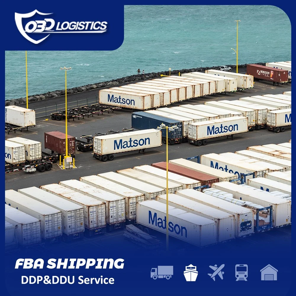 Professional China Amazon Fba DDP/DDU Shipping Agent Sea Freight From China to USA/EU/Au/Aue