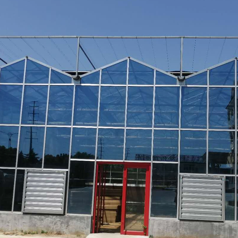 Agricultural Single Span Poly Film Glass Covered Greenhouse for Tomatoes