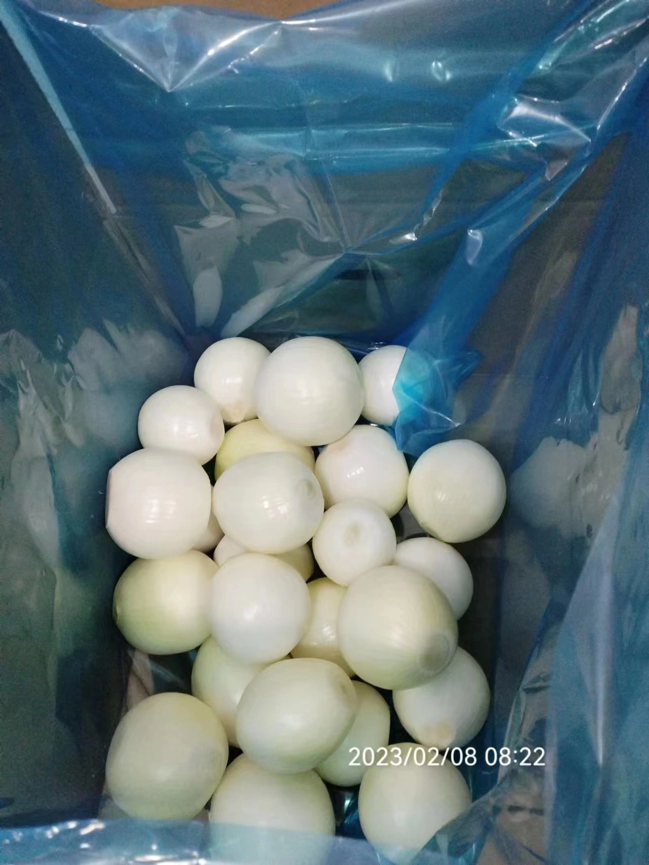 Whole Wholesale/Supplier Red Yellow White Green Skin Crop Peeled Purple Organic Frozen Fresh Vegetable Onion Price From Factory Supplier