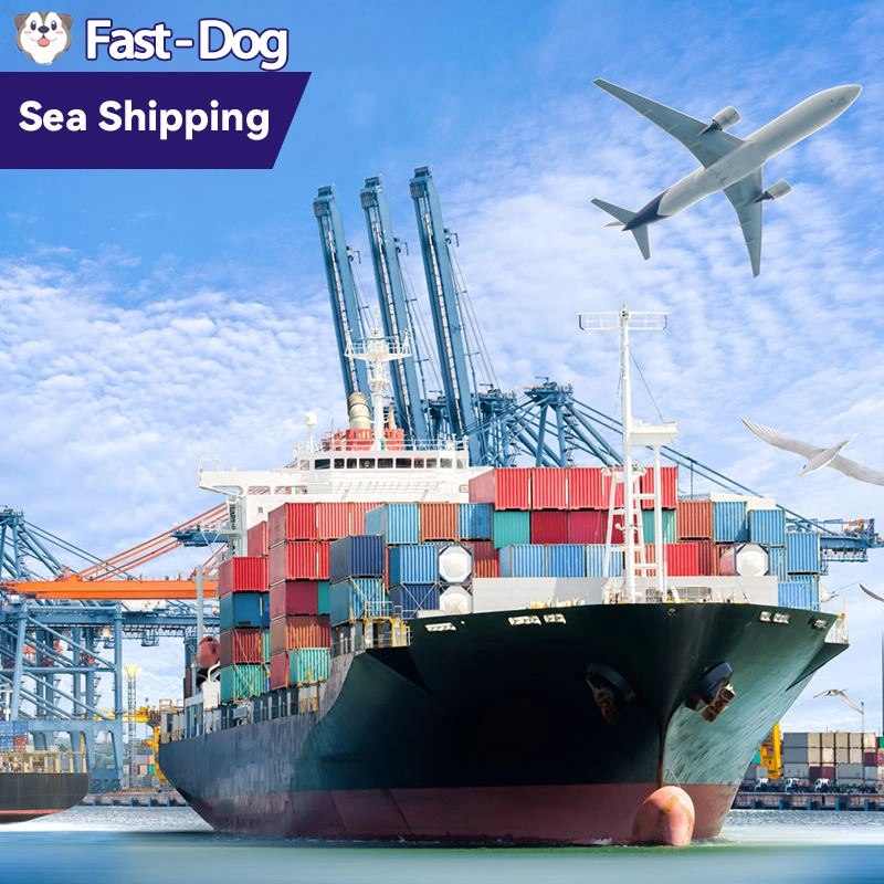 Cheapest Sea Freight Fba Warehouse USA DDP Door to Door Shipping Service