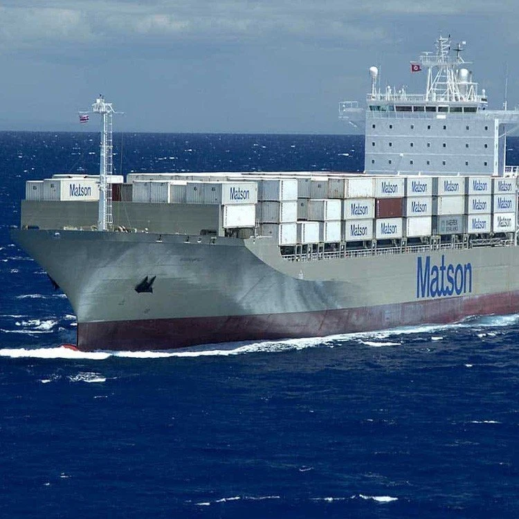 Sea Freight Service China Ninggo to Damietta Port Egypt Ocean Shipping Forwarder Low Price