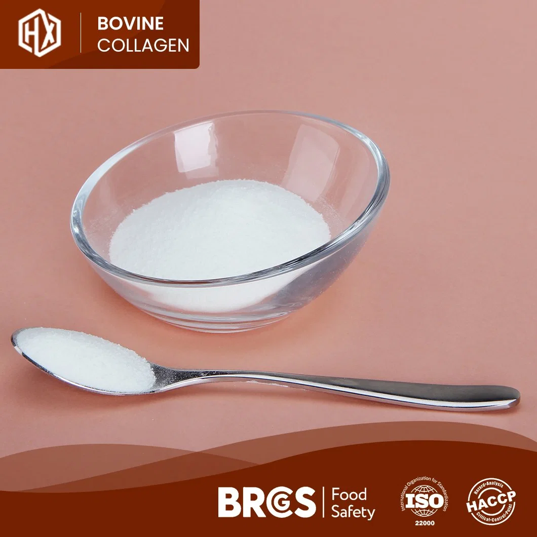 Haoxiang bovina de alta calidad ocultar los Péptidos de colágeno hidrolizado de colágeno bovino Hydrolyzing Powder fabricante de China Precios baratos alimentados con pasto de proteína de colágeno