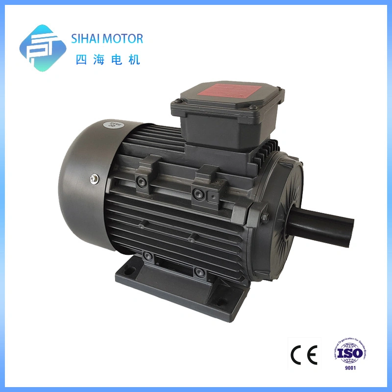 22kw 2 Pole High Efficiency AC Engine Three Phase Motor