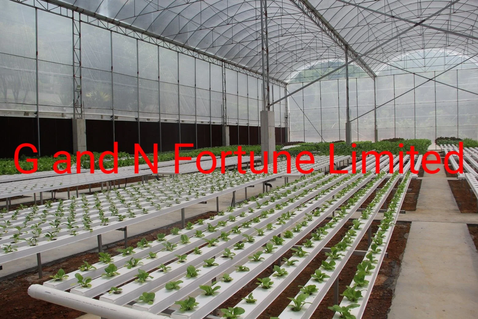 Ecological Saving Fertilizer and Water Hydroponics Aquaponics and Aeroponics for High quality/High cost performance Vegetable Production