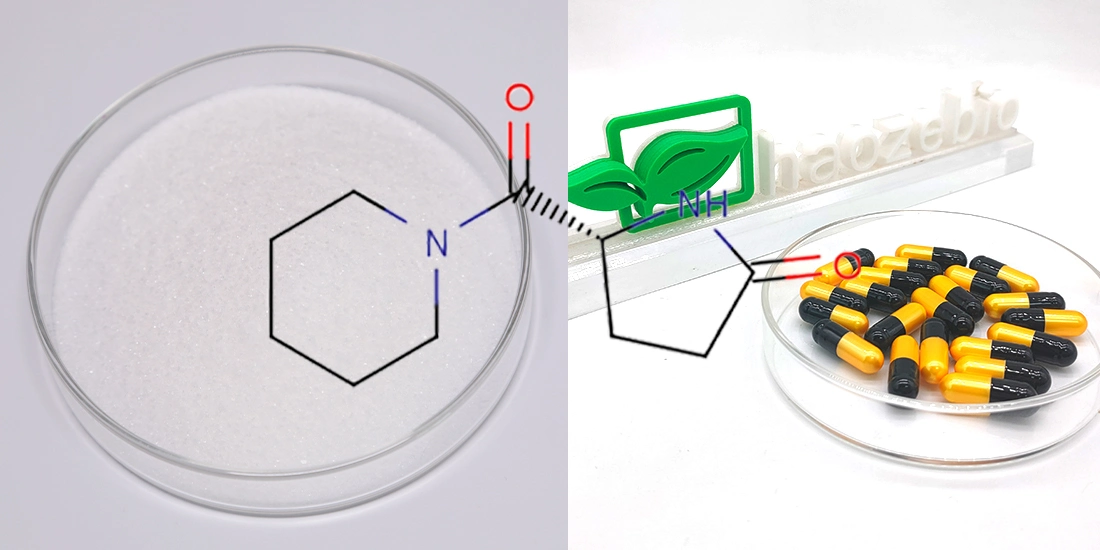 Nootropics cas 110958-19-5 de poudre de Fasoracetam