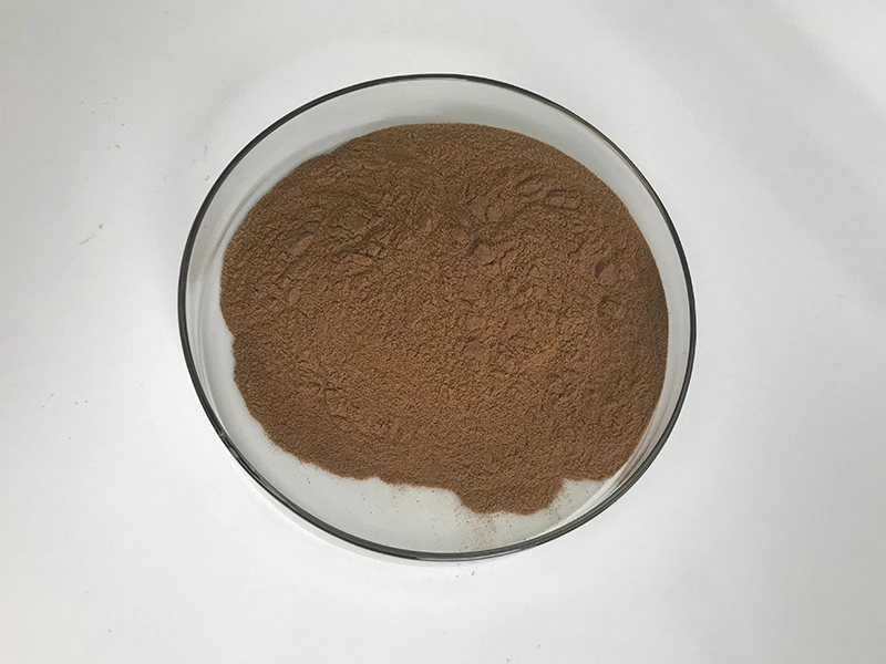 ISO Certified Manufacturer Bulk Stock Natural Powder Hovenia Dulcis Extract