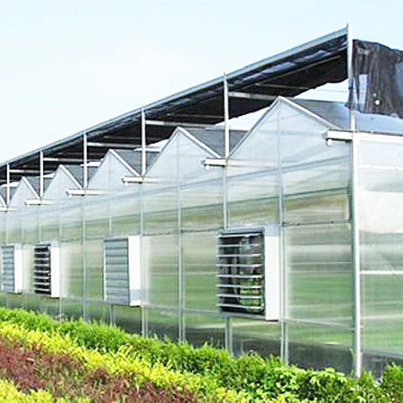 Venlo Type Plastic Sheet Agricultural Greenhouse Galvanized Steel Frame with Low Price