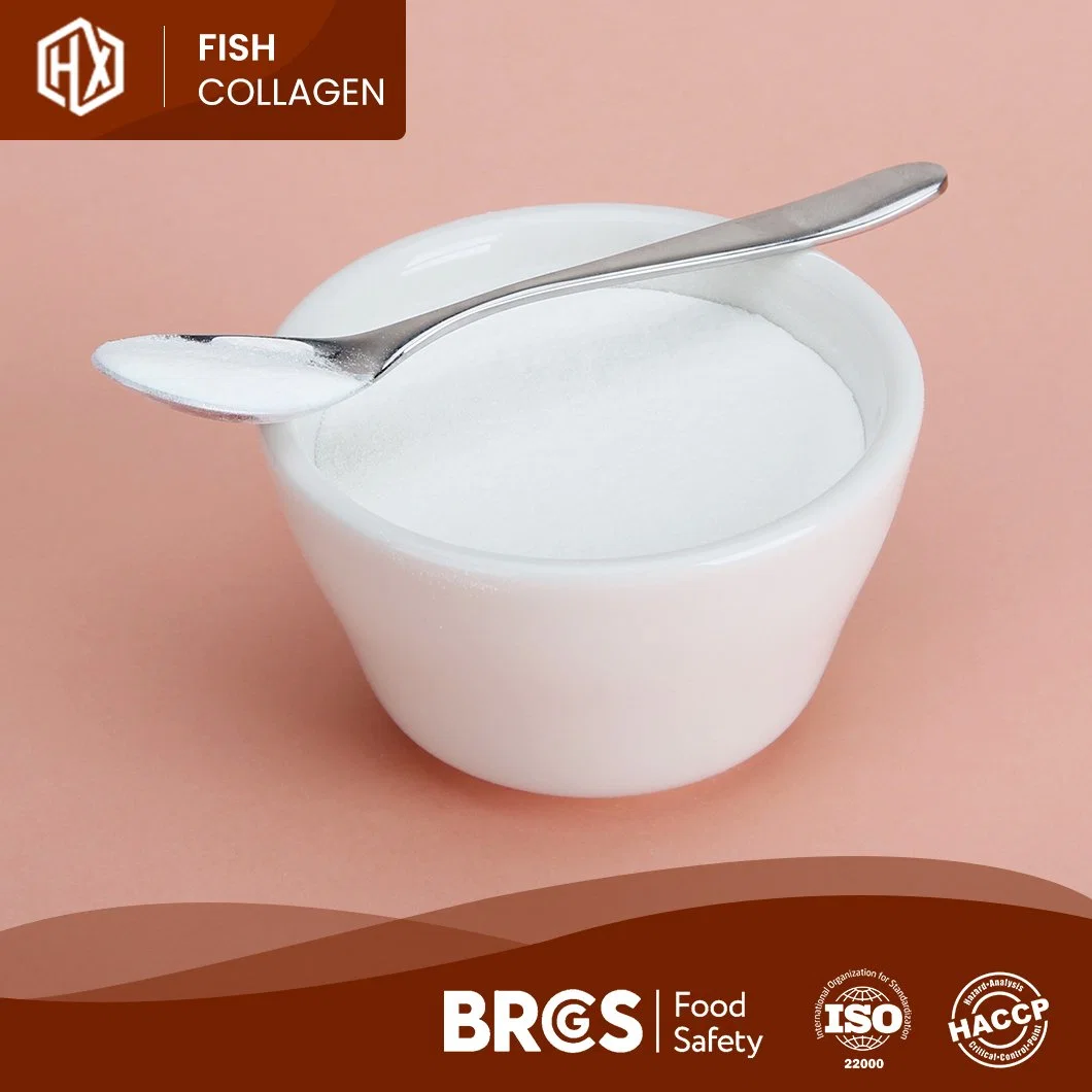 Haoxiang Fish Collagen Pure Hydrolyzed Deep Sea Fish Scale Collagen Powder Enzymatic Hydrolysis Technology Process Hydrolyzed Fish Collagen Powder Manufacturer