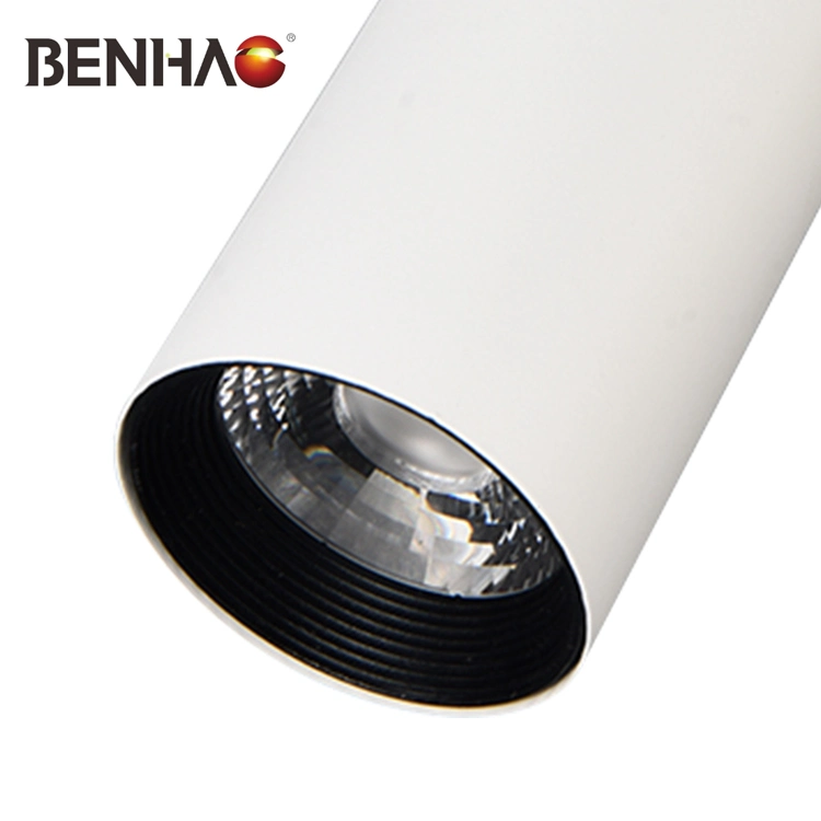 Dimmable COB Anti-Glare Aluminum LED Track Spotlight with Adjust Beam for Malls Restaurants Commercial Spaces