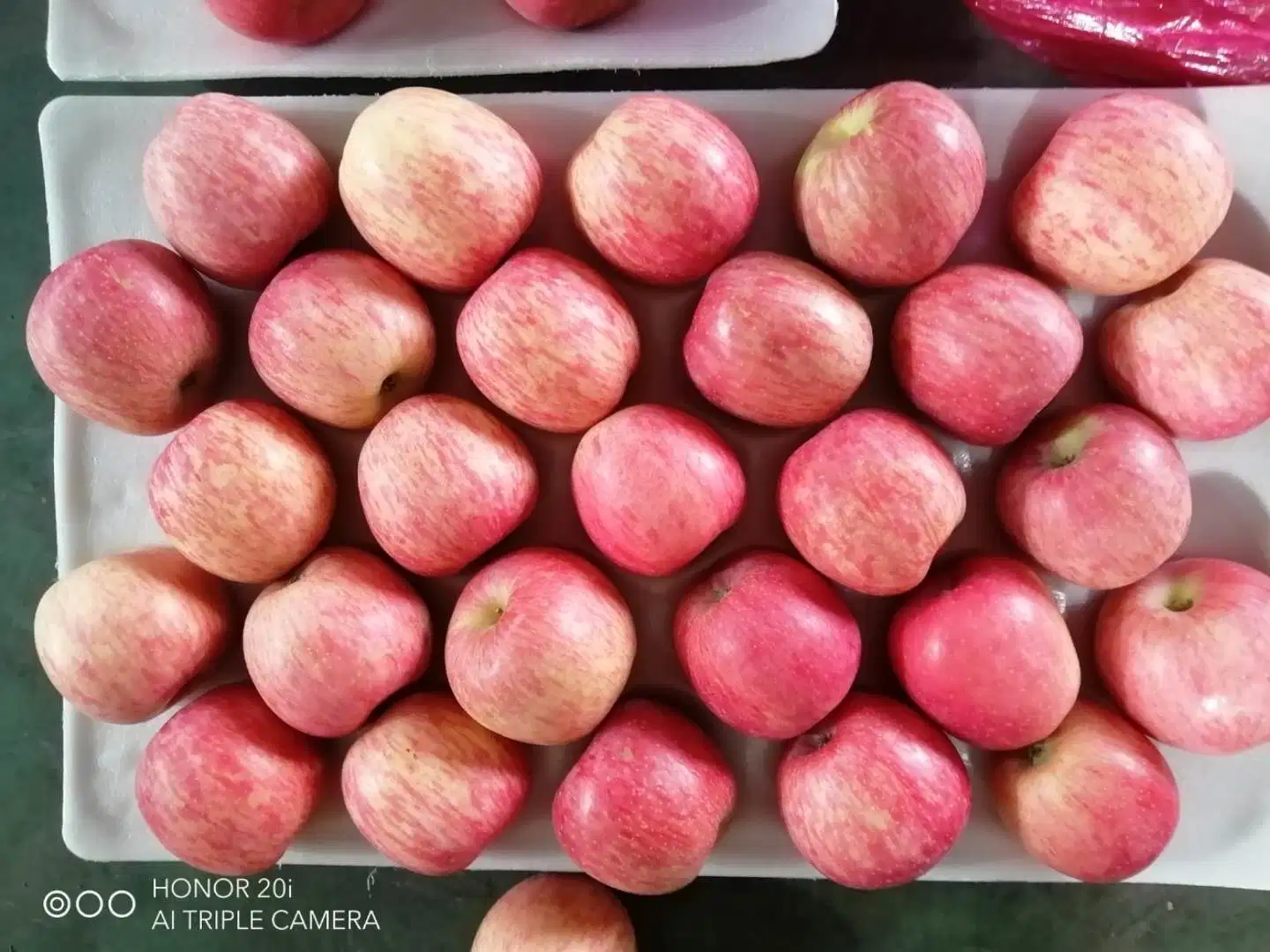 Sweety Yantai New Crop FUJI Apple
