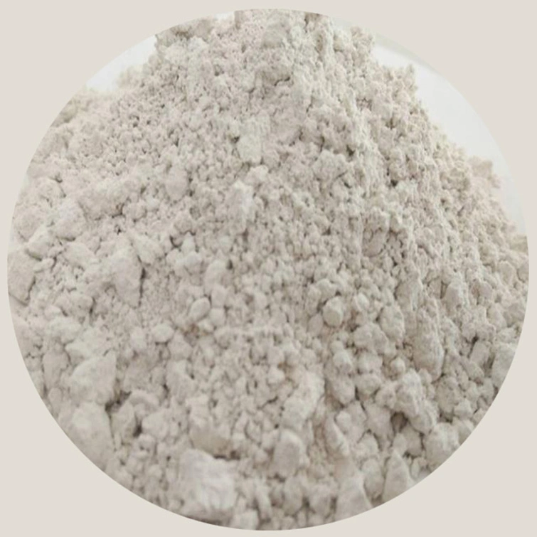 White Powder Calcium Oxide (Quik Lime) with Good Price for Construction Materials
