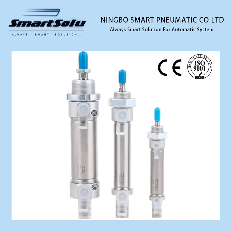 Customized ISO6432 Dsnu Airtac Pneumatic Cylinder Mi Stainless Steel Air Mini Cylinder