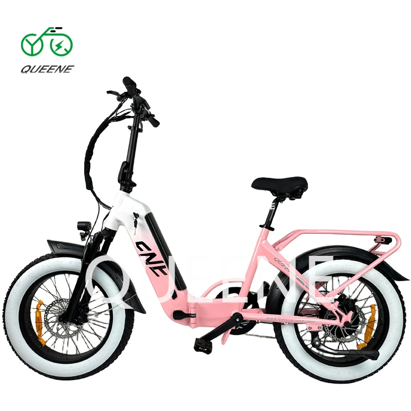 Queene CE, UL, Certificado 2023 Us Venta en caliente E-Bike Tienda en línea Ventas 20-Inch Fat Tire Bike 350W/500W 36V 48V Mini bicicleta eléctrica plegable