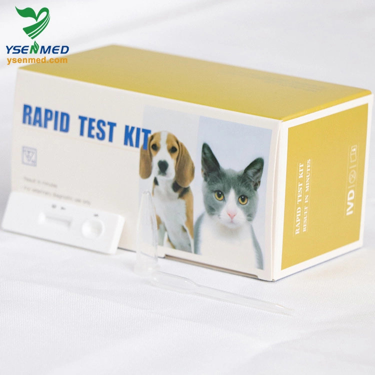 Equipamento médico Veterinary FRL Feline gravidez relaxin Teste rápido