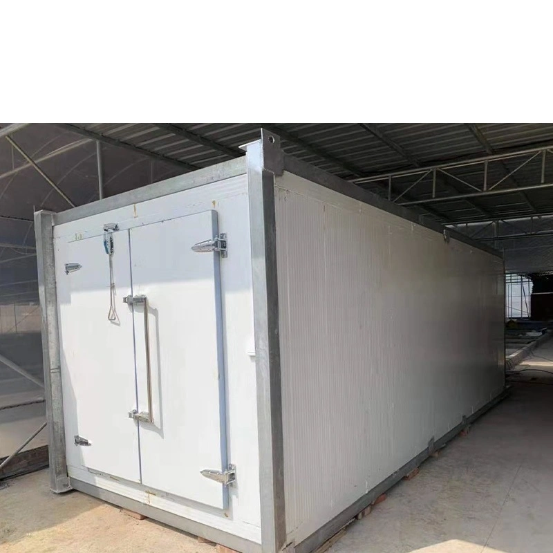 Stainless Steel Cold Room Storage