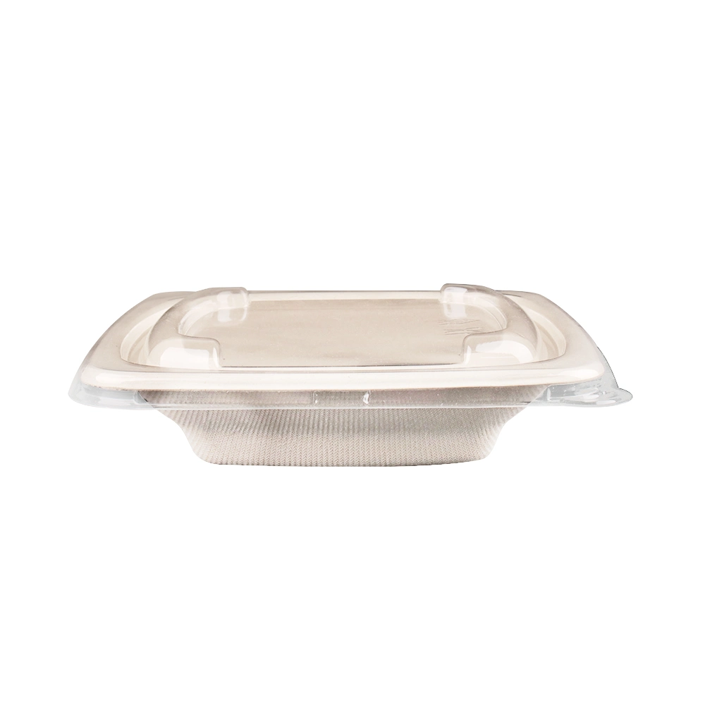 Specials Square Bowl 16 Oz Disposable Cane Fiber Container