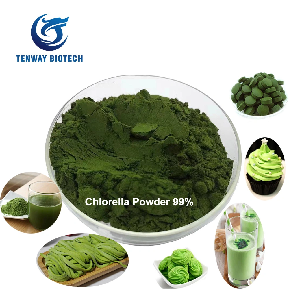 99% Pure Organic Green Powder Natural Chlorella Powder in Bulk Package for Sale at Low Price