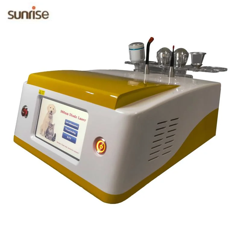 Professional Veterinary Laser Therapy Instrument Low Level Laser Therapy