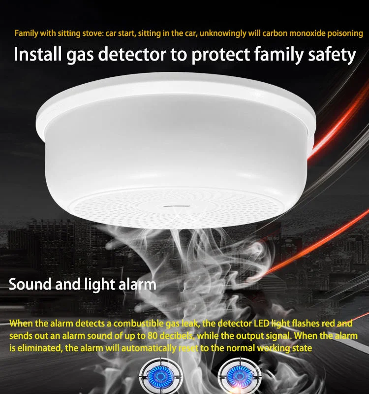 Natural Gas Detector Liquefied Gas Carbon Monoxide Alarm Smoke Sensing Alarm