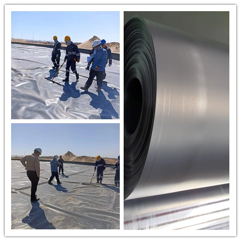 Environmental Project Puncture Resistance Woven Geotextile or Customized 1.0mm HDPE Liner Agriculture Geomembrane