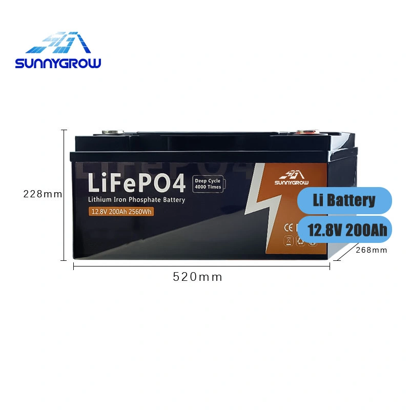 High Performance Medium Li-ion Lithium for Home Solar Batteries Pack LiFePO4 Battery