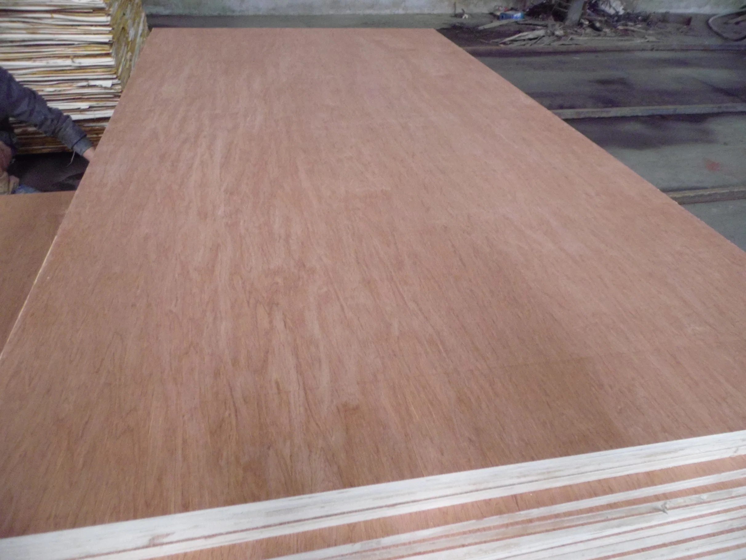 Commercial Poplar Plywood for Furniture and Packing