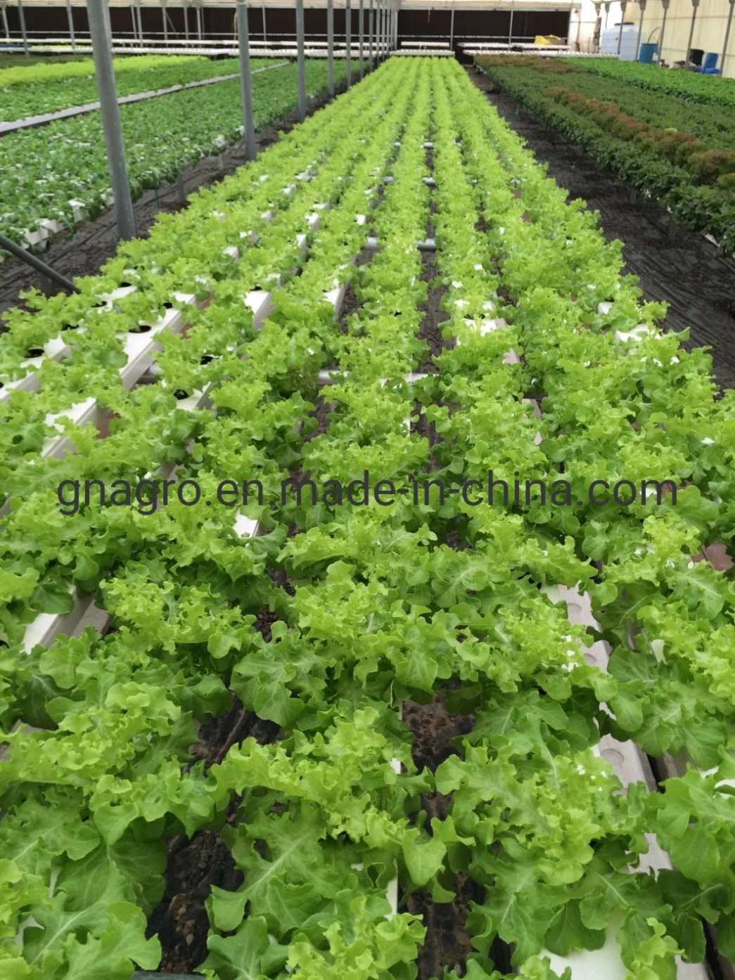 Los sistemas de cultivo vertical de plástico fresas canal para la Agricultura Nft