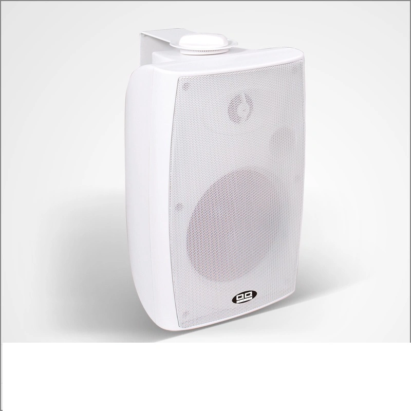 8ohms Wall Mounted on Wall Speaker with Two Way Speaker Driver Lbg-5084 20W