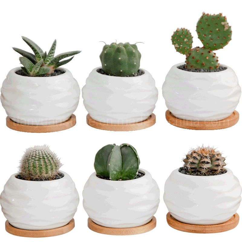 Small Succulent Plant Pots, Hexagon Ceramic Planters, Pots for Succulent, Cactus, White