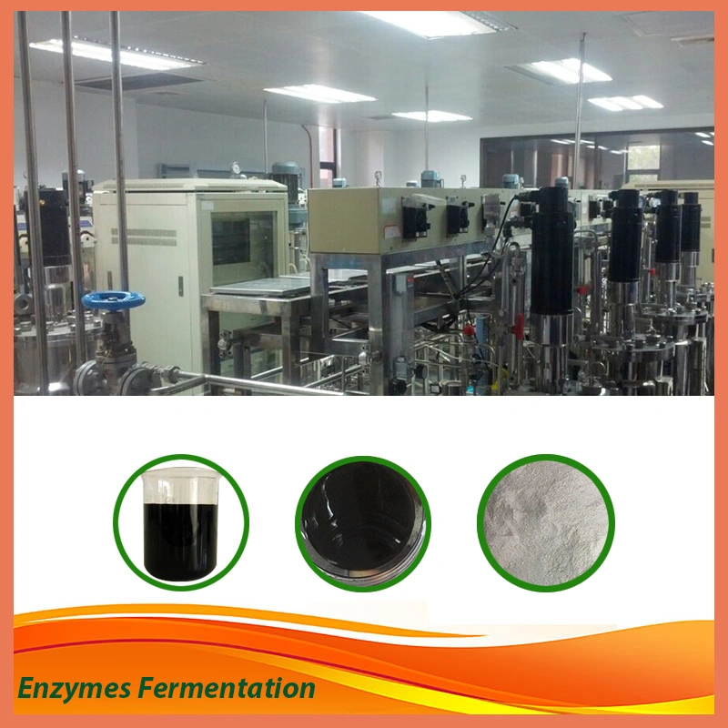 Factory Supply Textile Neutral Polishing Enzyme Liquid for Knit Dyeing