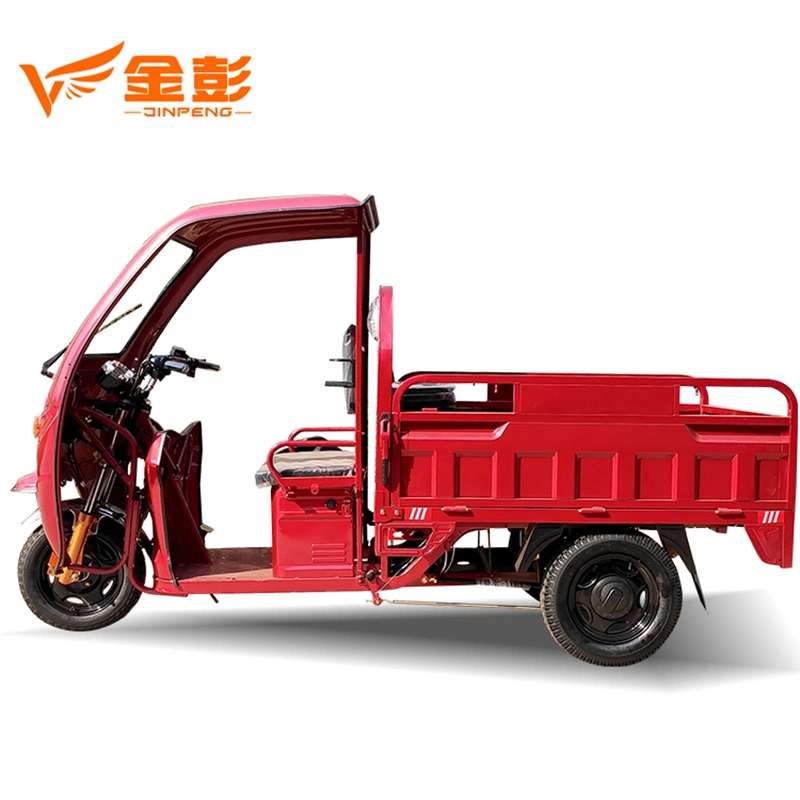 1000W Motor Three Wheels Cargo Model