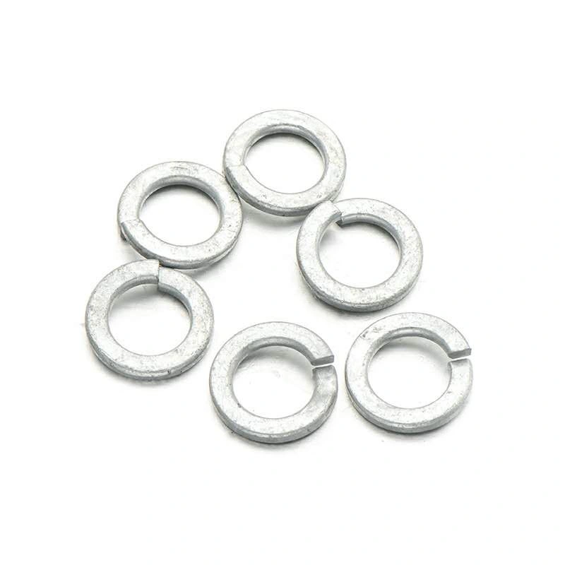 Carbon Steel Stainless Steel Flat Washers Plain Washers Spring Lock Washers