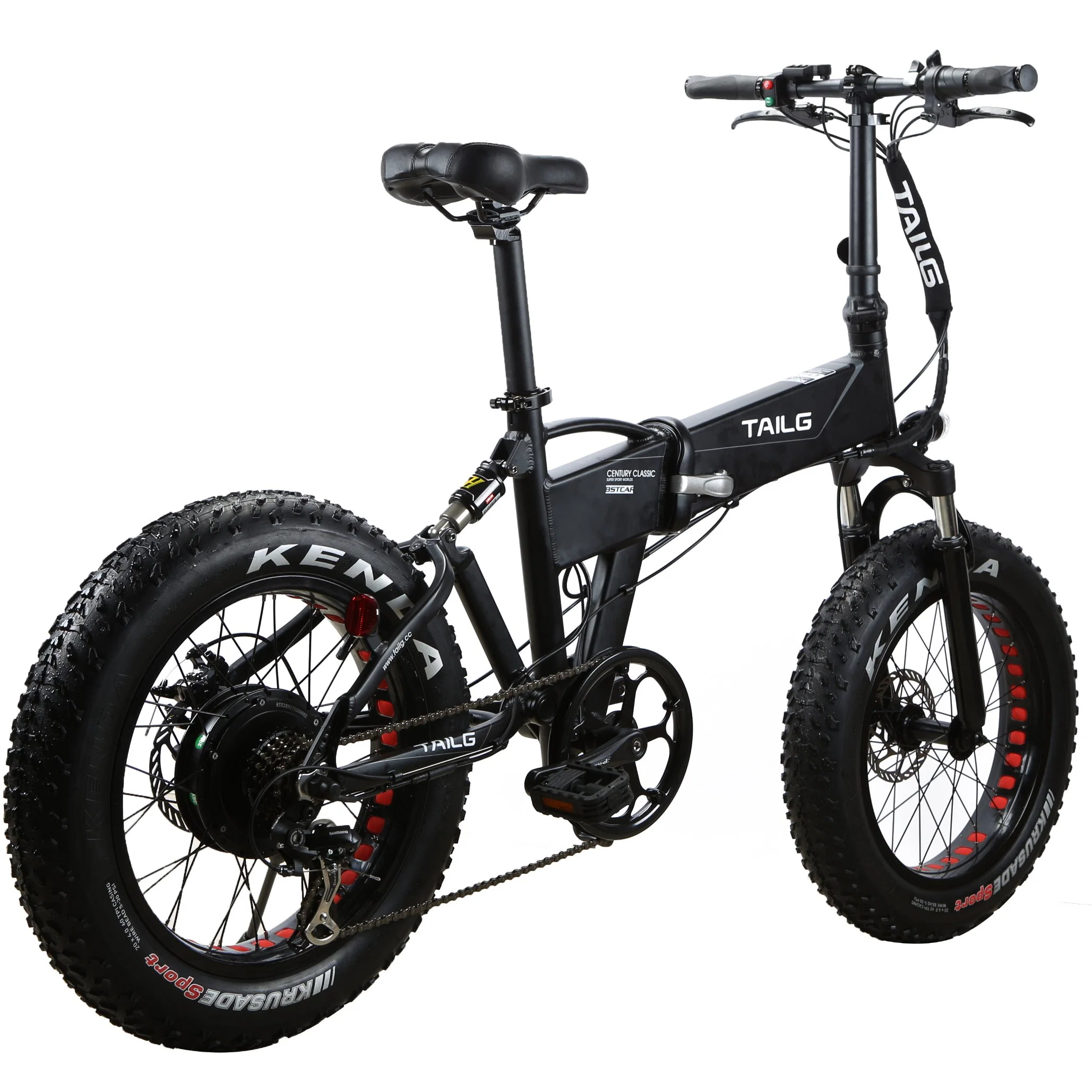 20" Folding Fat Tyre Electric Bicycle with Lithium Battery