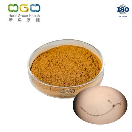 Natural Healthcare Fermentation Cordyceps Mycelium Extract Adenosine Powder