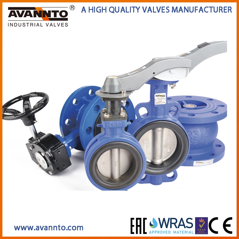 High Quality Ductile Cast Iron Wafer Butterfly Valves with PFA Rubber Lining DIN/JIS