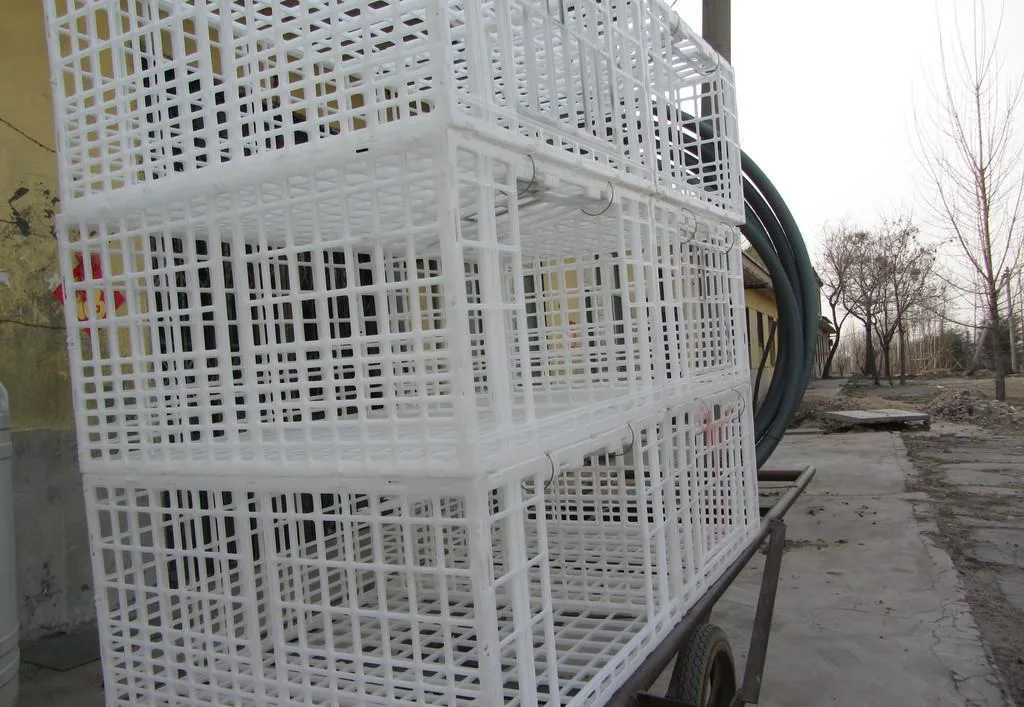 Poultry Farming Chicken Plastic Transport Cage Carriage Coop