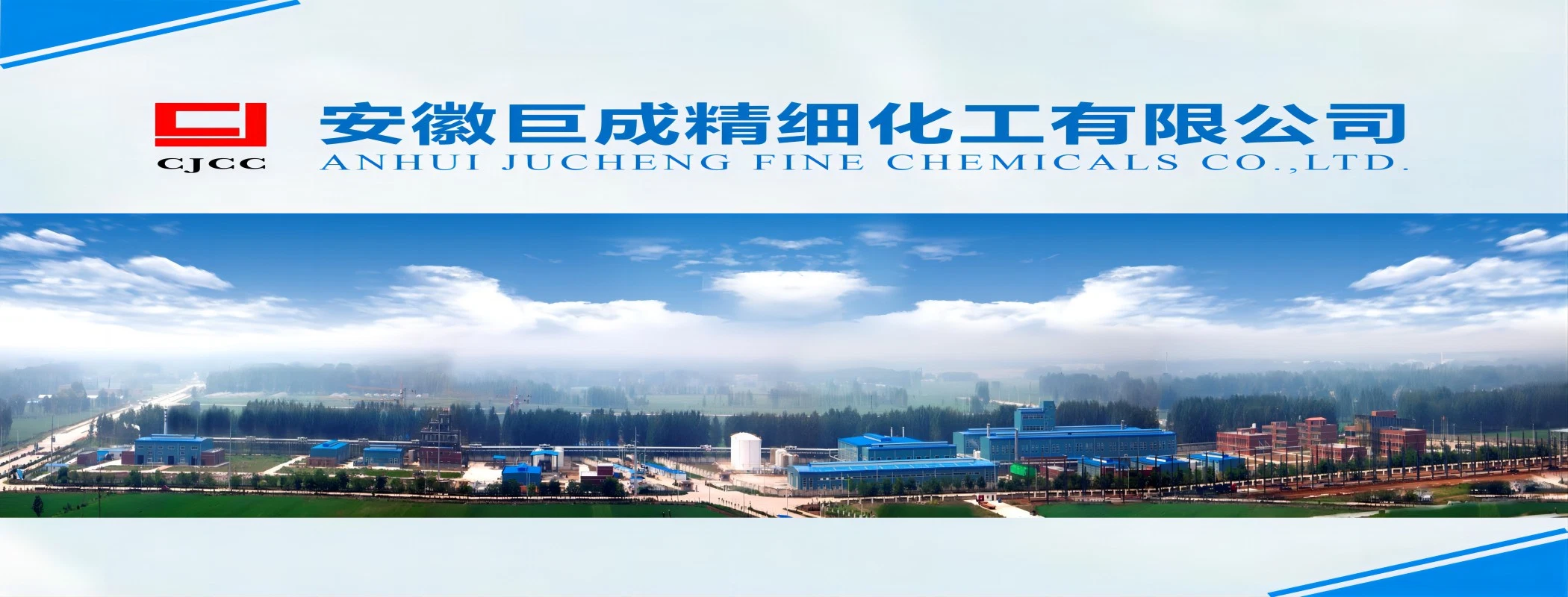 Cationic Polyacrylamide Top Quality Industrial Grade Polyacrylamide for Sewage Water Treatment