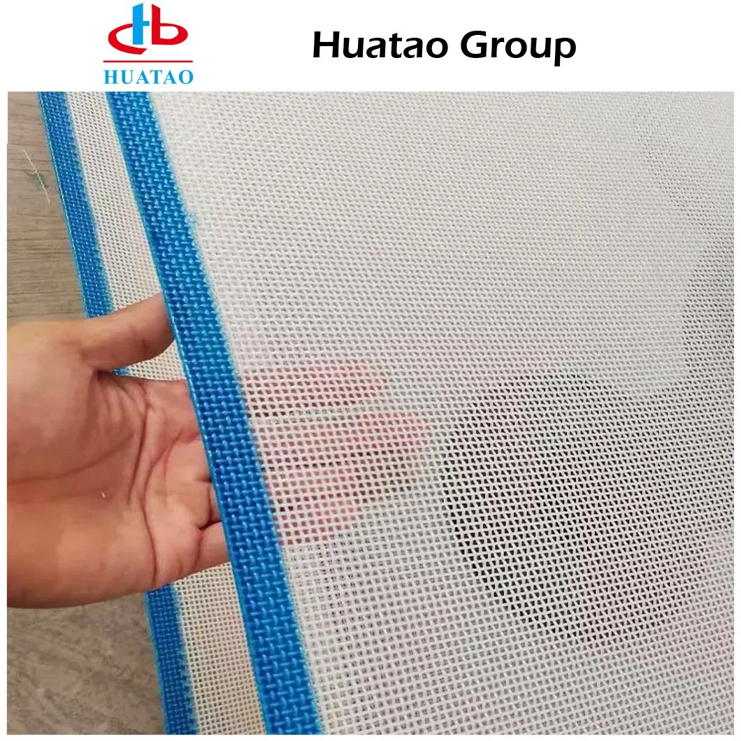 100% Industry Ht Food Screening Polyester Dry Plain Weave Mesh with Good Service