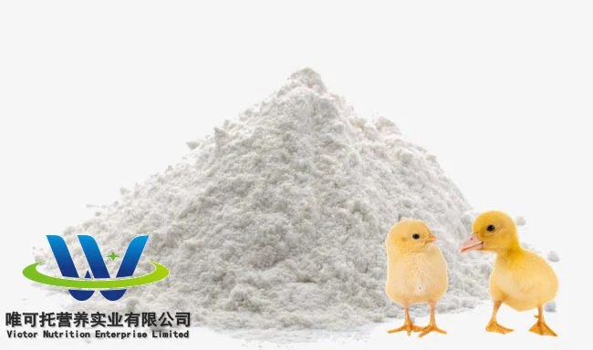 Feed Supplement Feed Grade 98.5% L-Lysine HCl for Animals